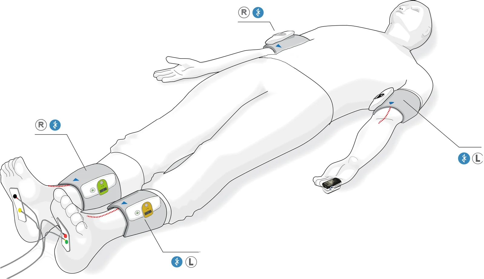 Manufacturer illustration showing TM Flow arm and ankle cuffs, finger sensor, and foot electrodes